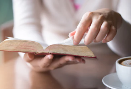 Estudos Transdisciplinares